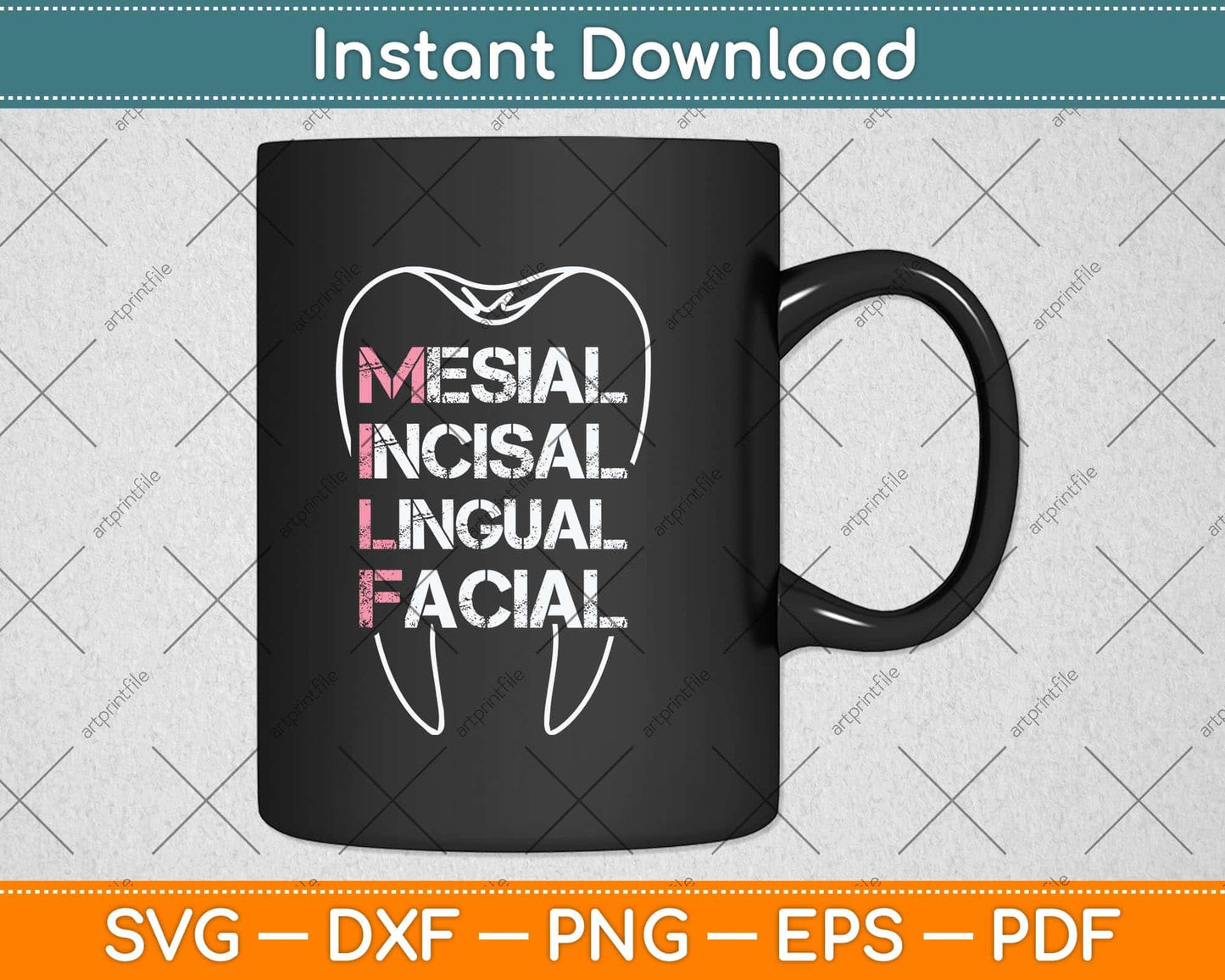 Mesial Incisal Lingual Facial Funny Dental Svg Png Dxf Digital Cutting File