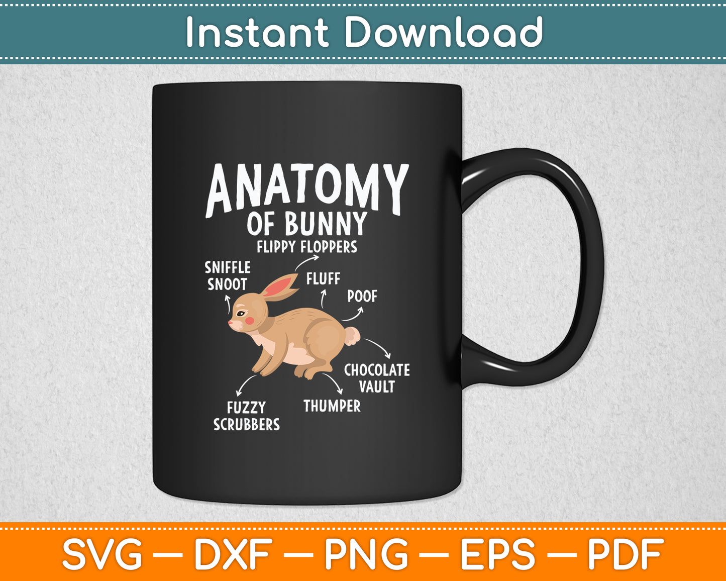 Anatomy Of Bunny - Rabbit Lover Zookeeper Farmer Mammals Svg Digital Cutting File
