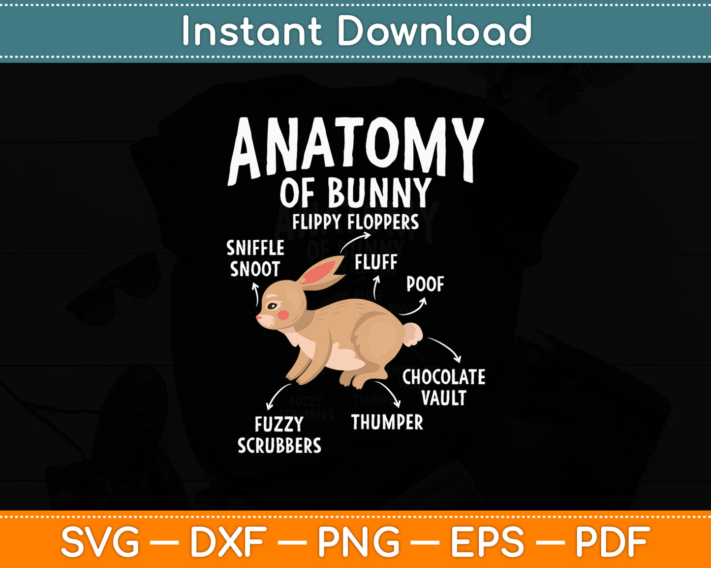 Anatomy Of Bunny - Rabbit Lover Zookeeper Farmer Mammals Svg Digital Cutting File