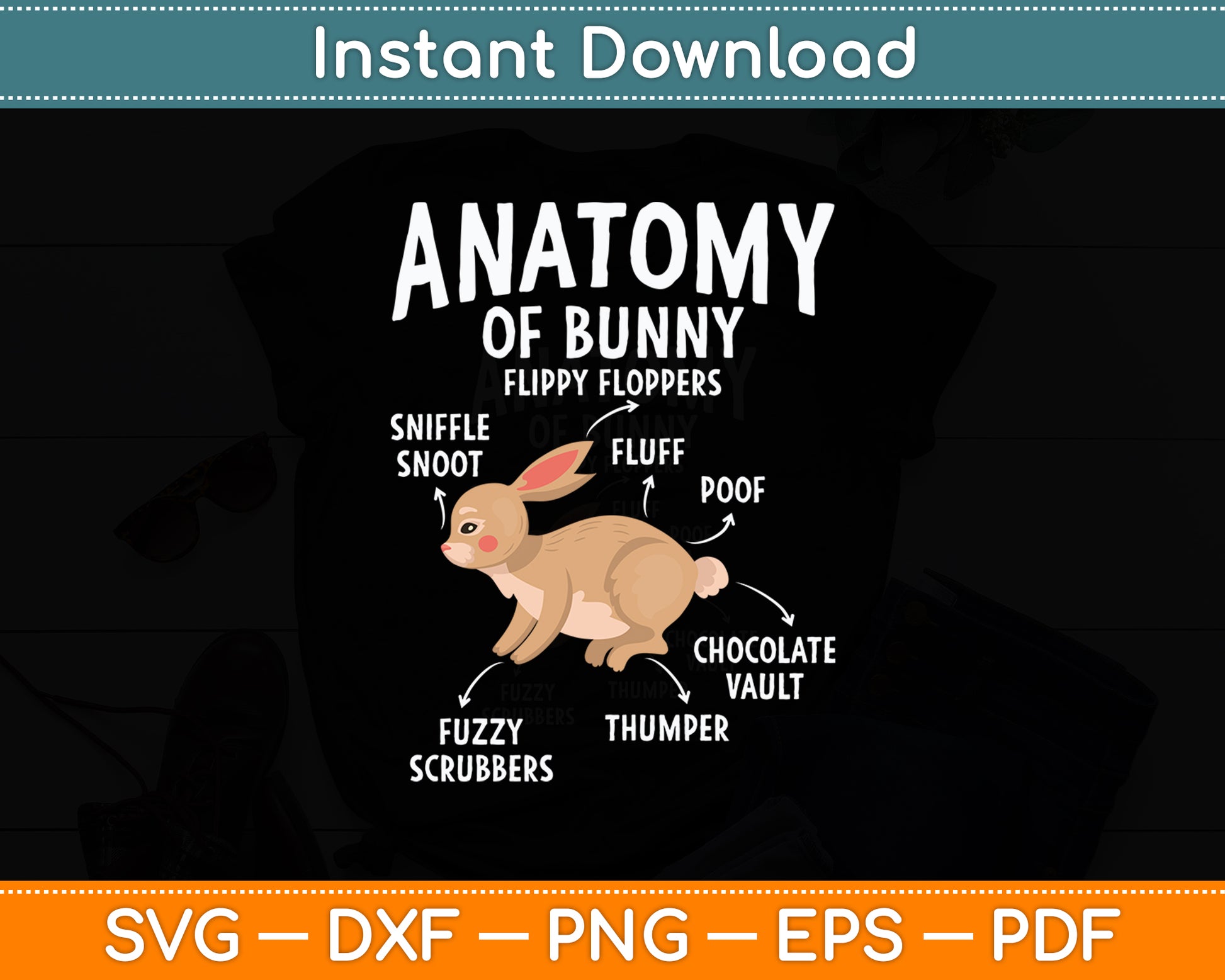 Anatomy Of Bunny - Rabbit Lover Zookeeper Farmer Mammals Svg Digital Cutting File