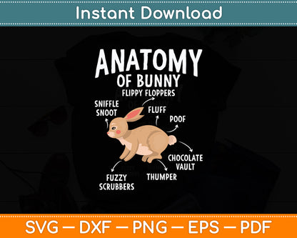 Anatomy Of Bunny - Rabbit Lover Zookeeper Farmer Mammals Svg Digital Cutting File