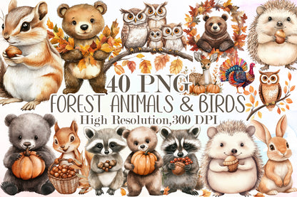 Autumn Forest Animals PNG Bundle Fall Woodland Animal Clipart