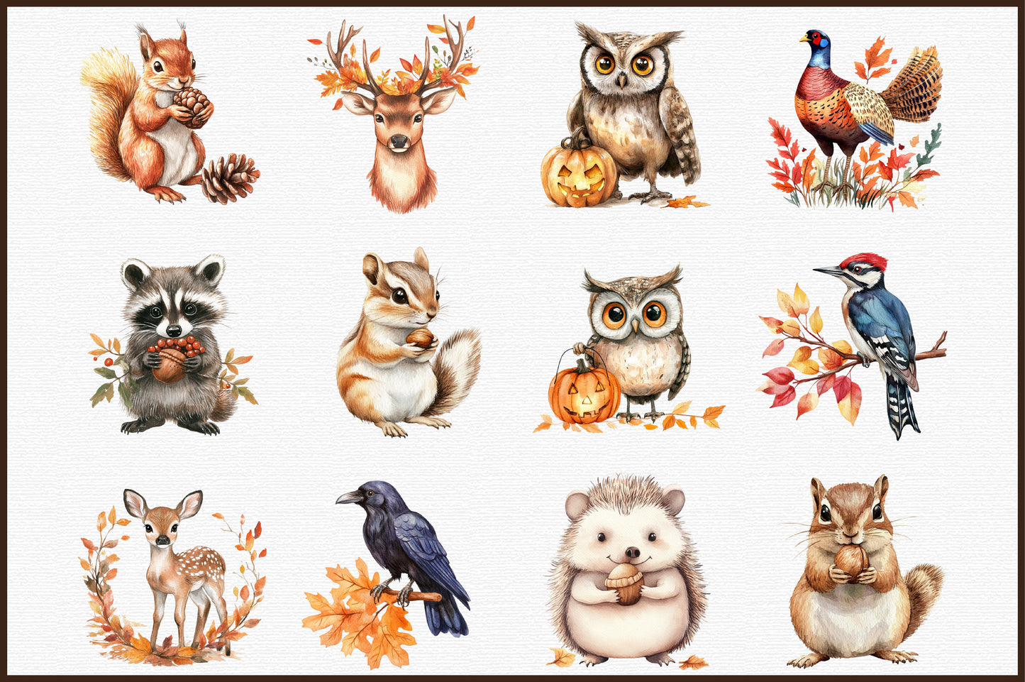 Autumn Forest Animals PNG Bundle Fall Woodland Animal Clipart