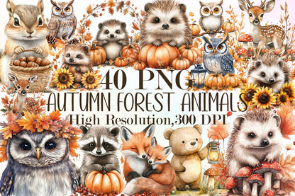 Autumn Forest Animals PNG Bundle Woodland Clipart