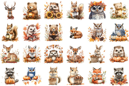 Autumn Forest Animals PNG Bundle Woodland Clipart