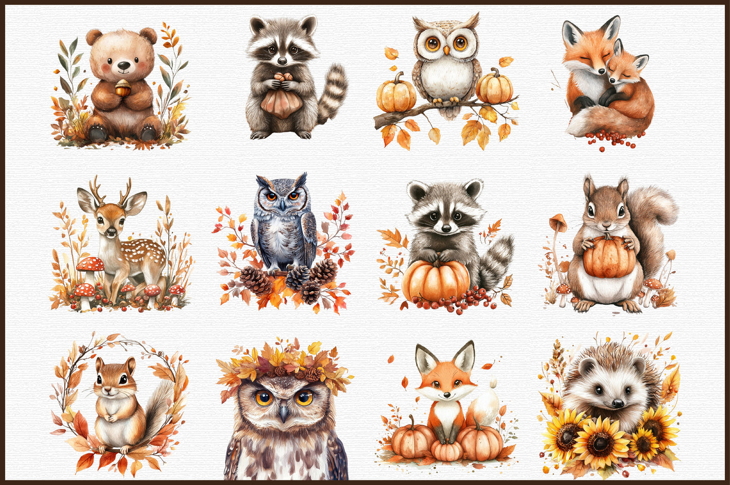 Autumn Forest Animals PNG Bundle Woodland Clipart