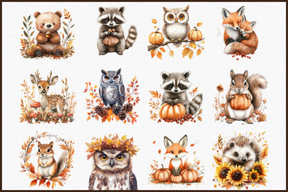 Autumn Forest Animals PNG Bundle Woodland Clipart