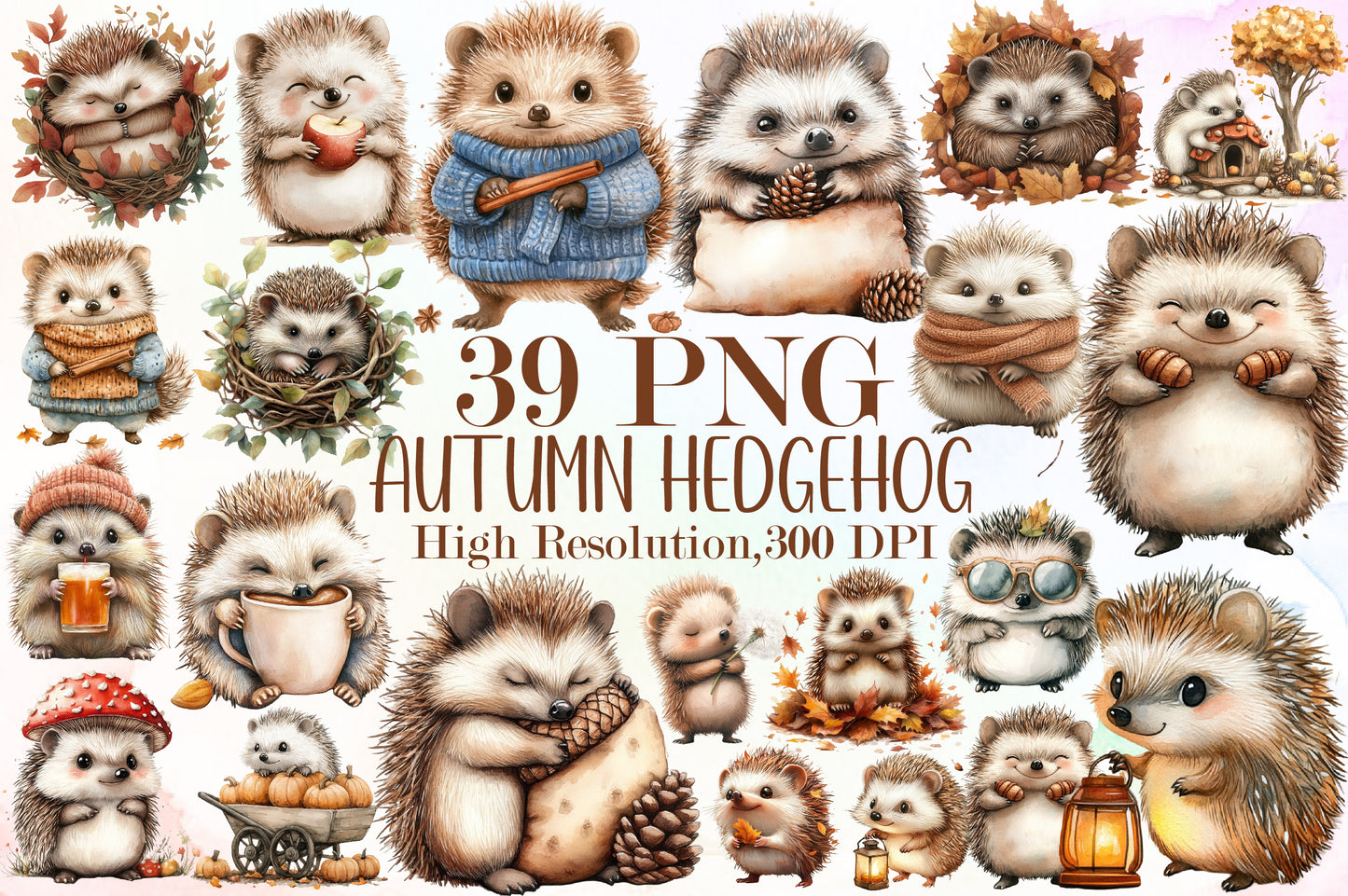 Autumn Hedgehog PNG Bundle Fall Hedgehog Sublimation Clipart