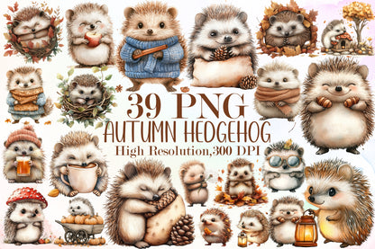 Autumn Hedgehog PNG Bundle Fall Hedgehog Sublimation Clipart