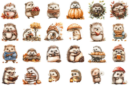 Autumn Hedgehog PNG Bundle Fall Hedgehog Sublimation Clipart