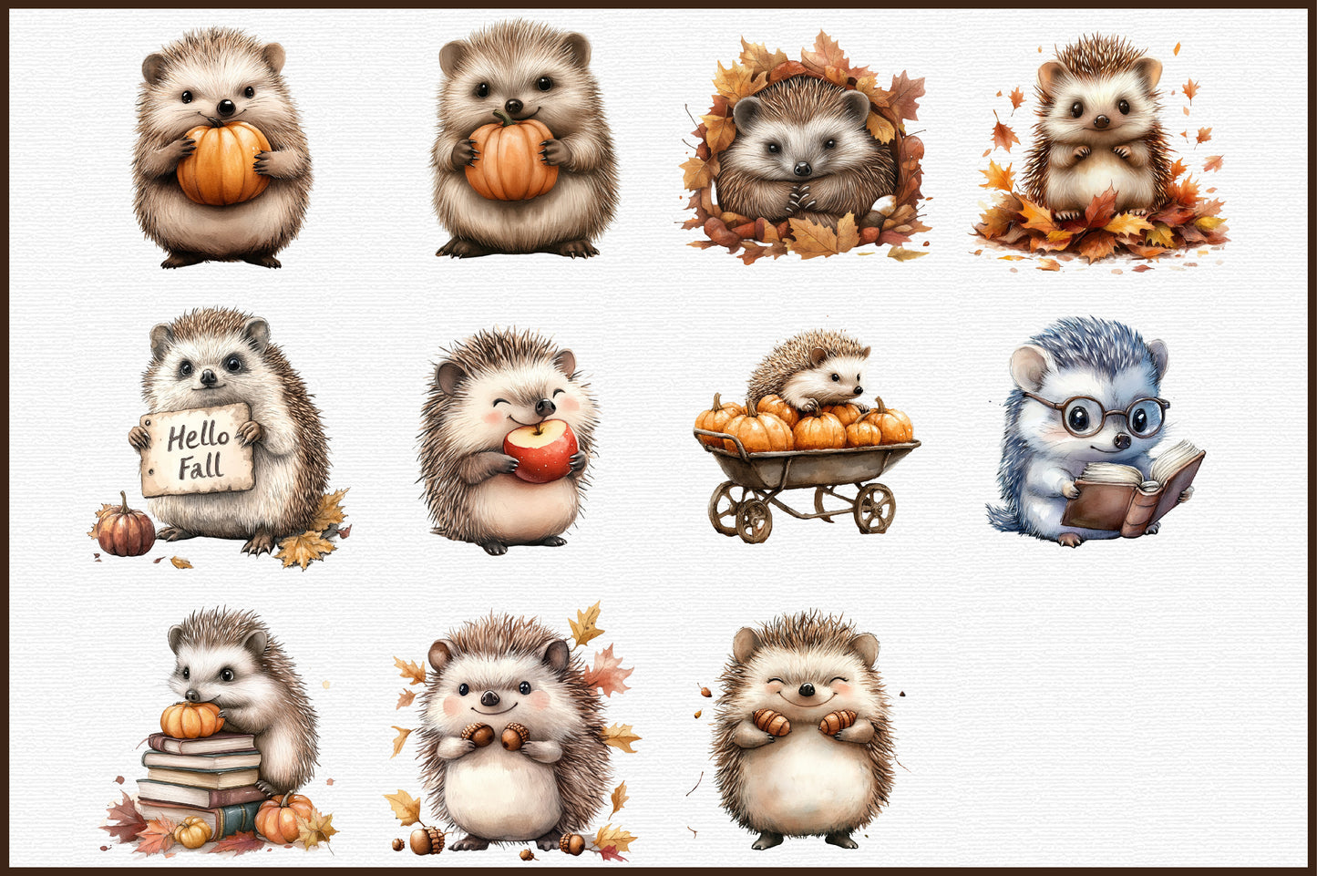 Autumn Hedgehog PNG Bundle Fall Hedgehog Sublimation Clipart