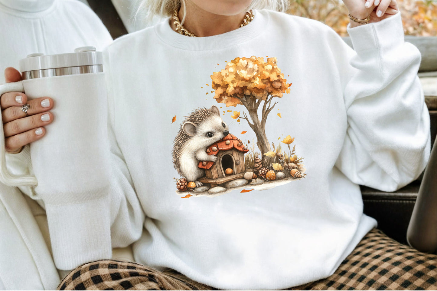 Autumn Hedgehog PNG Bundle Fall Hedgehog Sublimation Clipart