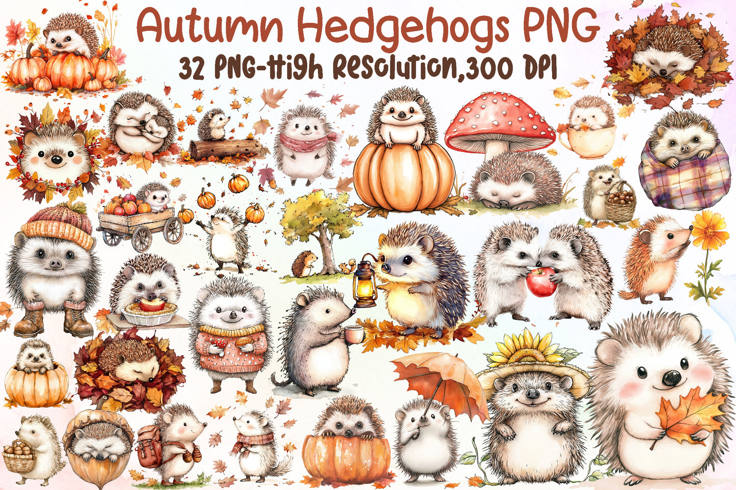 Autumn Hedgehogs PNG Bundle Fall Hedgehog Sublimation Clipart