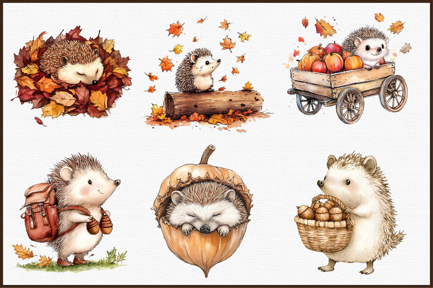 Autumn Hedgehogs PNG Bundle Fall Hedgehog Sublimation Clipart