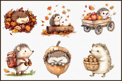 Autumn Hedgehogs PNG Bundle Fall Hedgehog Sublimation Clipart