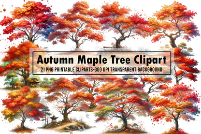 Autumn Maple Tree PNG Bundle Fall Tree Sublimation Clipart