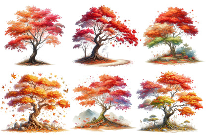 Autumn Maple Tree PNG Bundle Fall Tree Sublimation Clipart