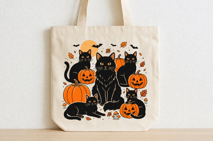 Black Cat Pumpkin Halloween PNG