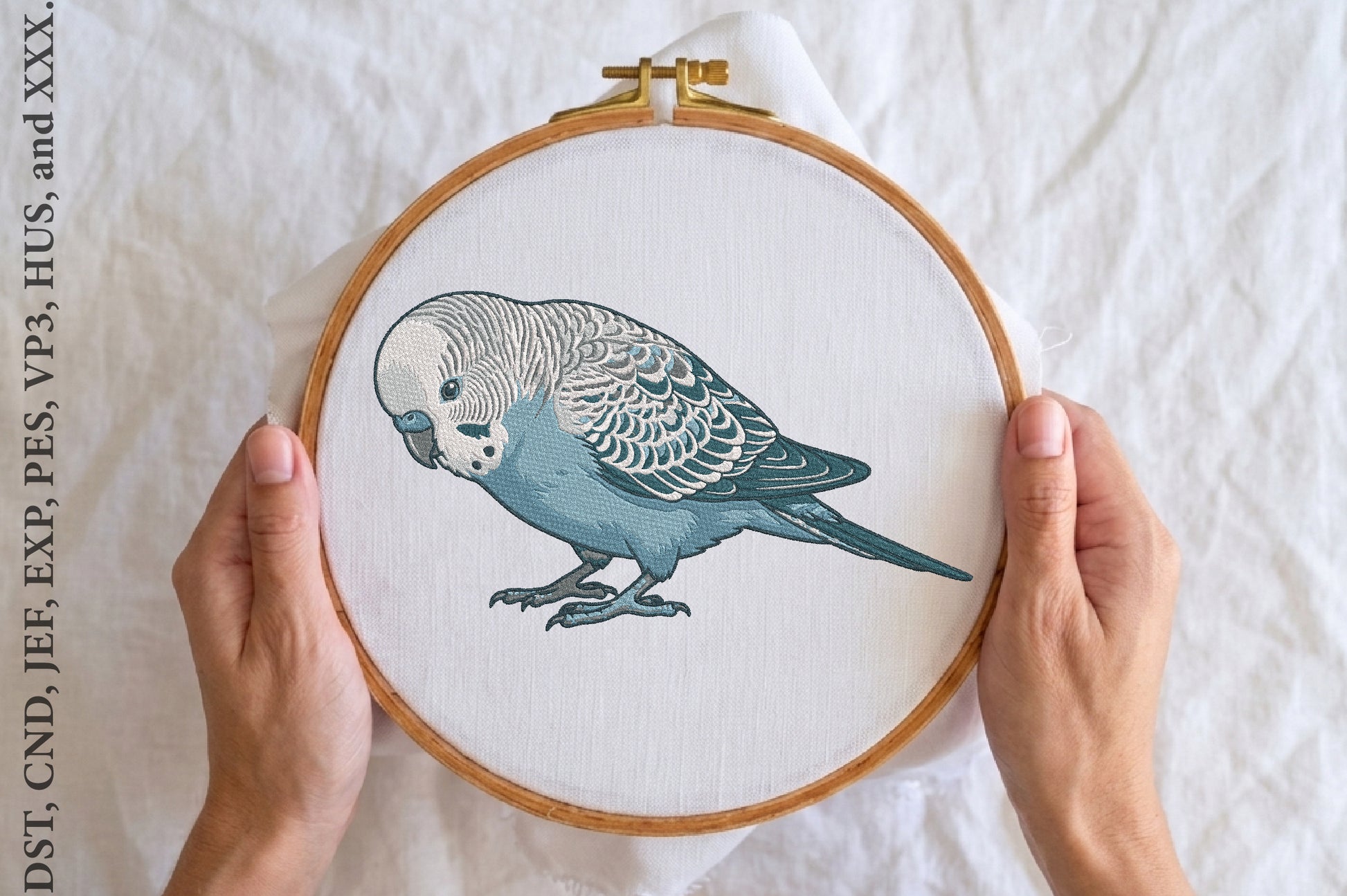 Budgie Parrot Embroidery Designs – Cute Parrot Machine Embroidery Pattern, Colorful Bird Embroidery Design