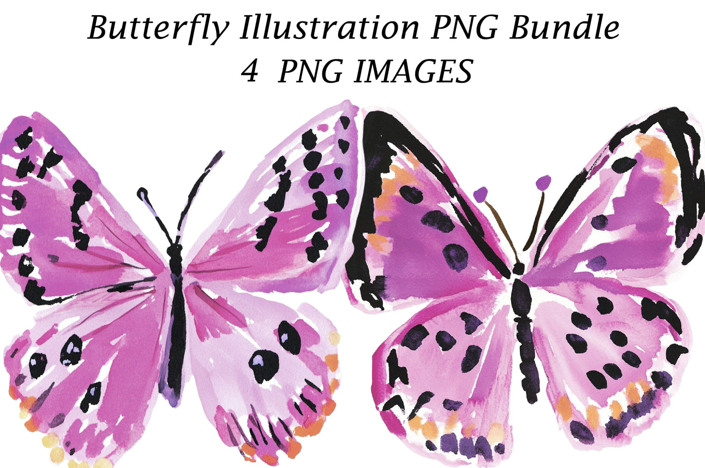 Butterfly Illustration PNG Bundle