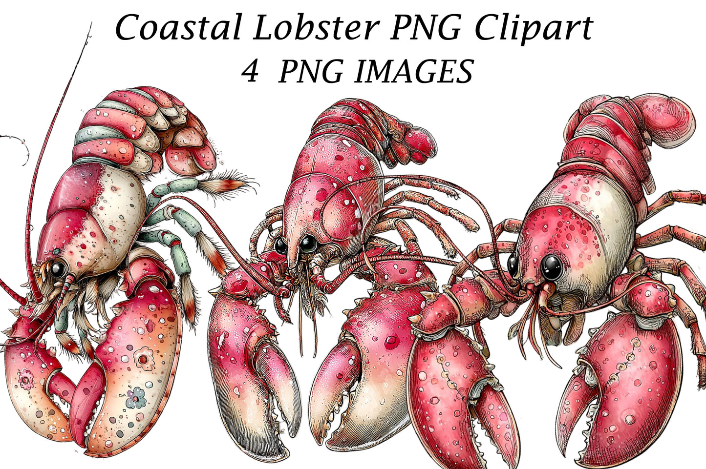 Coastal Lobster PNG Clipart | Nautical Seafood Illustration