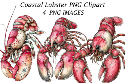 Coastal Lobster PNG Clipart | Nautical Seafood Illustration