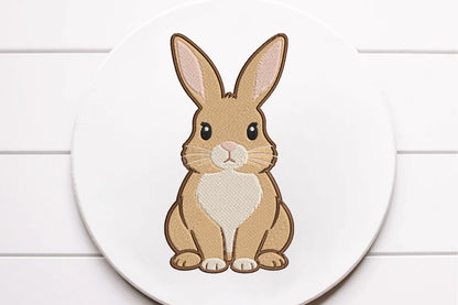Cute Bunny Embroidery Design