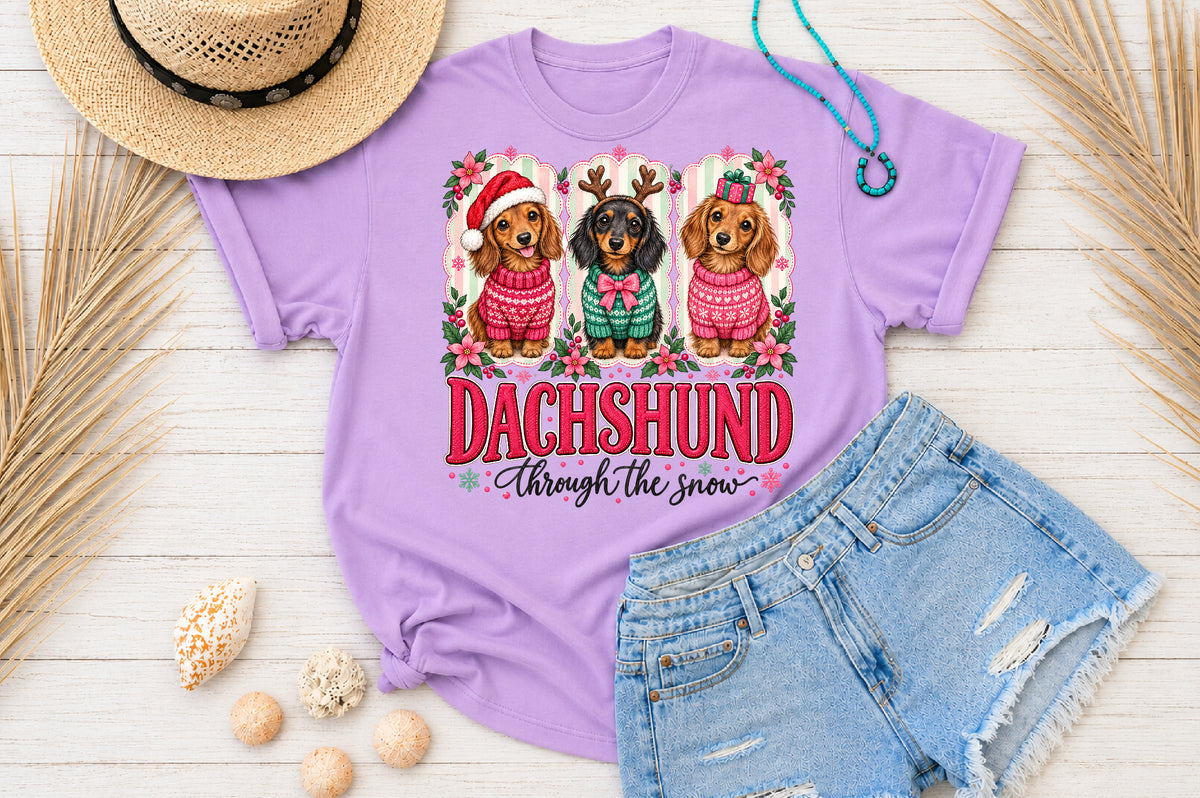 Dachshund Through The Snow Christmas PNG