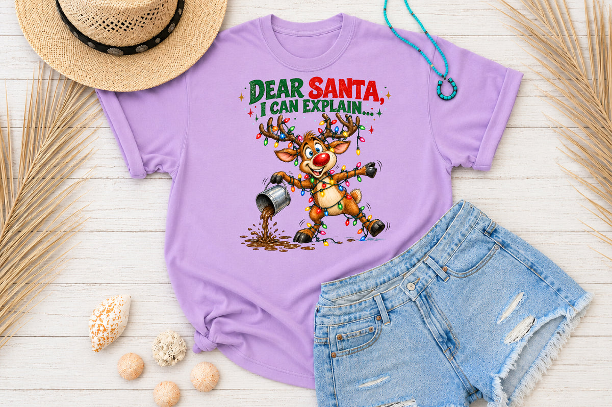 Dear Santa I Can Explain Christmas PNG