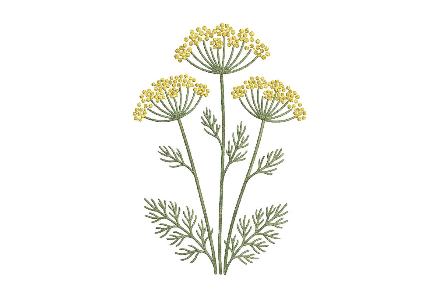 Umbel Flower Embroidery Design – Elegant Umbel Floral Machine Embroidery Pattern, Botanical Flower Embroidery Design