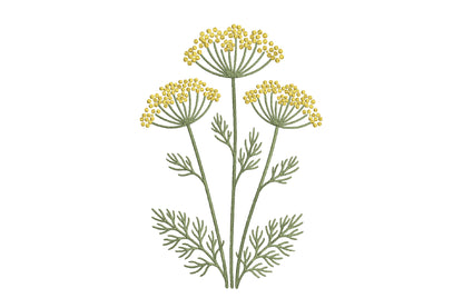 Umbel Flower Embroidery Design – Elegant Umbel Floral Machine Embroidery Pattern, Botanical Flower Embroidery Design