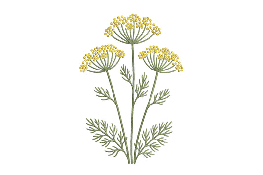 Umbel Flower Embroidery Design – Elegant Umbel Floral Machine Embroidery Pattern, Botanical Flower Embroidery Design