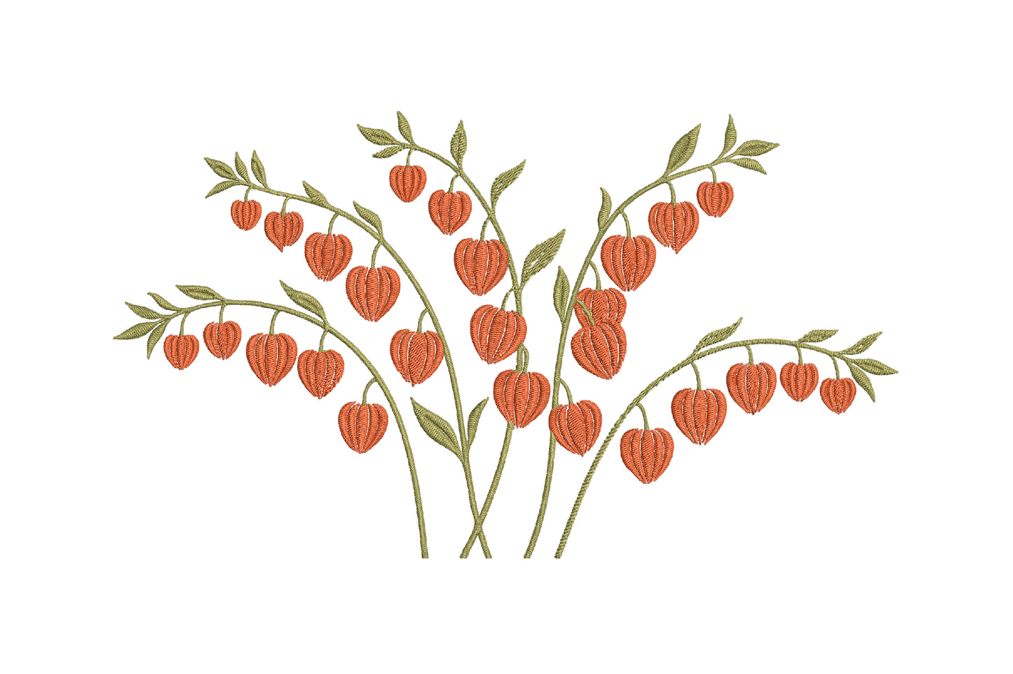 Chinese Lantern Plant Embroidery Design – Beautiful Chinese Lantern Flower Machine Embroidery Pattern, Botanical Floral Embroidery Design