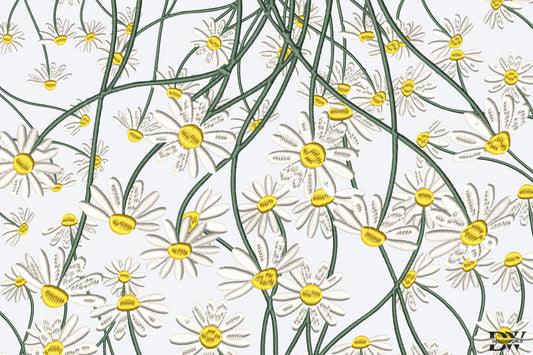 White Daisies Embroidery Design – Beautiful White Daisy Floral Machine Embroidery Pattern, Elegant Flower Embroidery Design