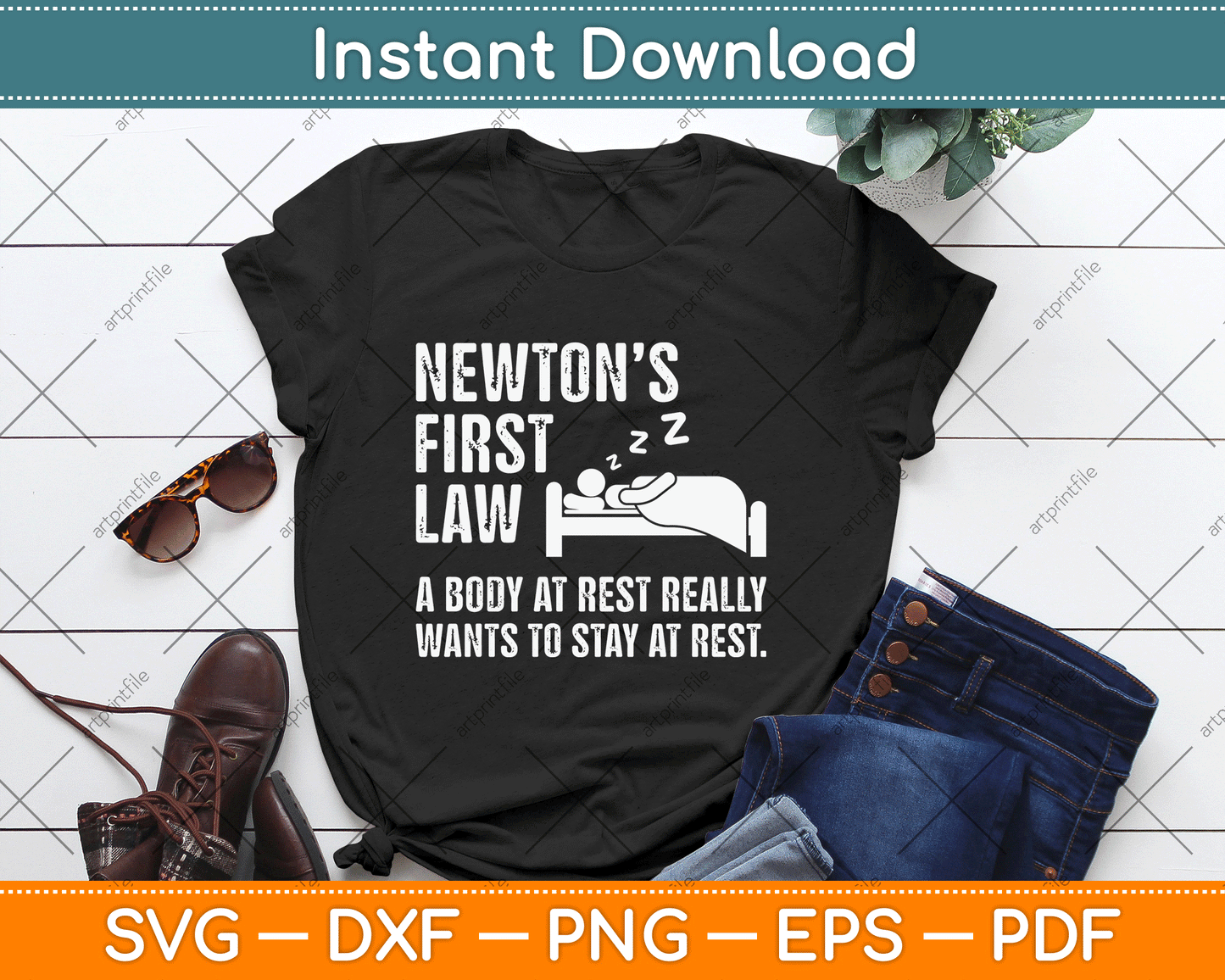 Funny Newton Physics Joke First Law Sleep Gag Gift SVG Digital Cutting File