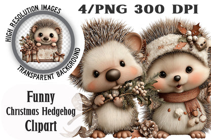 Funny Christmas Hedgehog Clipart PNG Bundle | Cute Watercolor Holiday Hedgehog Clipart