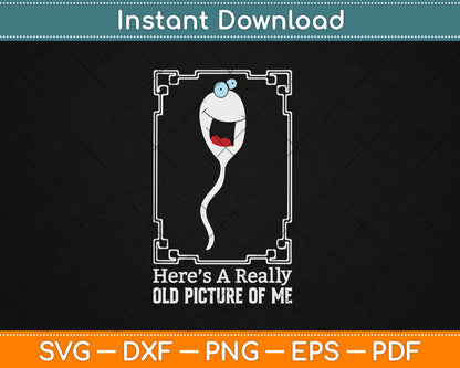 Funny Old Man Birthday Gag Gifts For Men Over 60 Svg Digital Cutting File