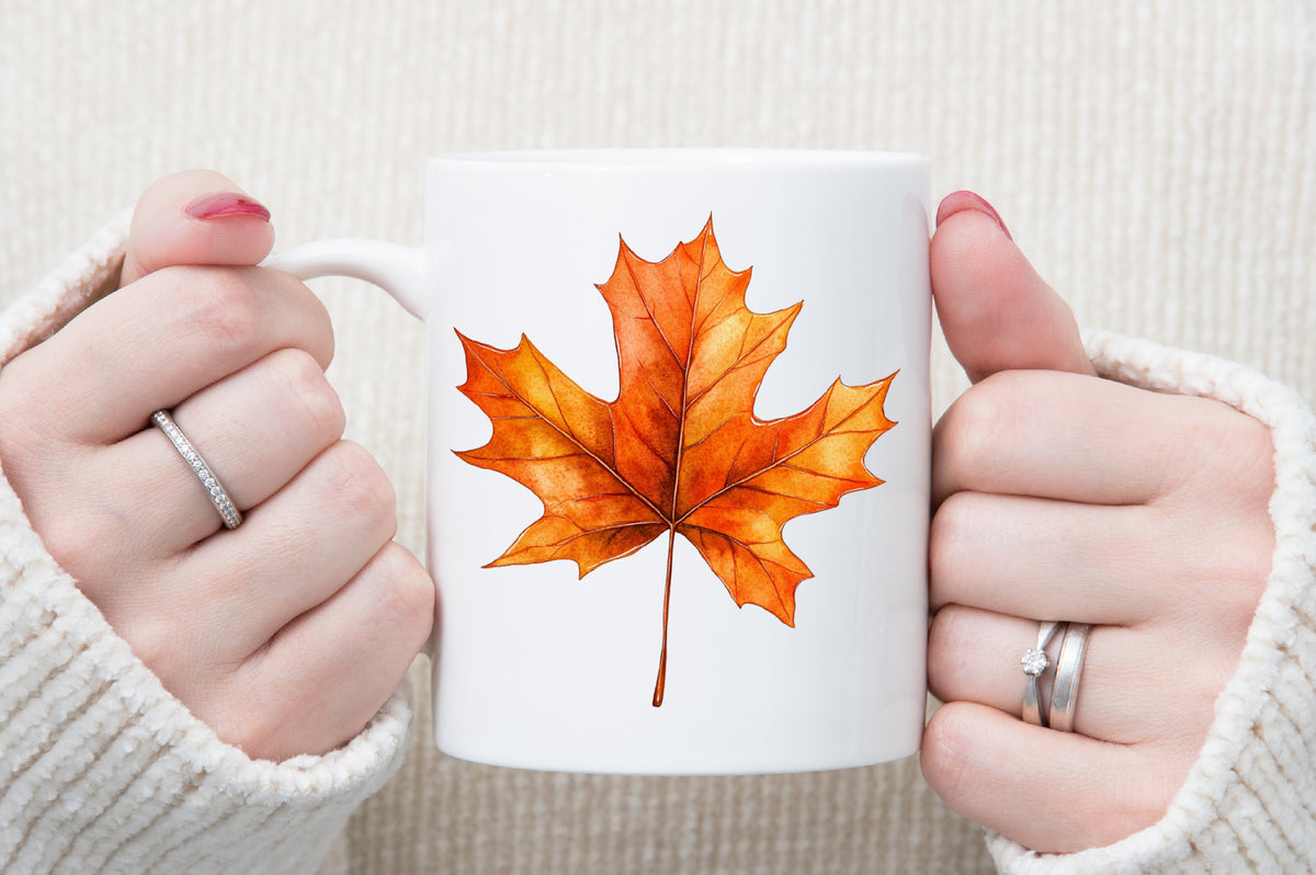 Hand Drawn Autumn Clipart Fall Cozy Harvest PNG Bundle