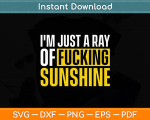 I'm Just a Ray of Fucking Sunshine Sarcastic Funny Svg Digital Cutting File