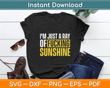 I'm Just a Ray of Fucking Sunshine Sarcastic Funny Svg Digital Cutting File