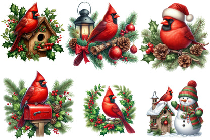 Watercolor Christmas Red Cardinal Clipart PNG Bundle | Winter Cardinal Birds & Holiday Decor