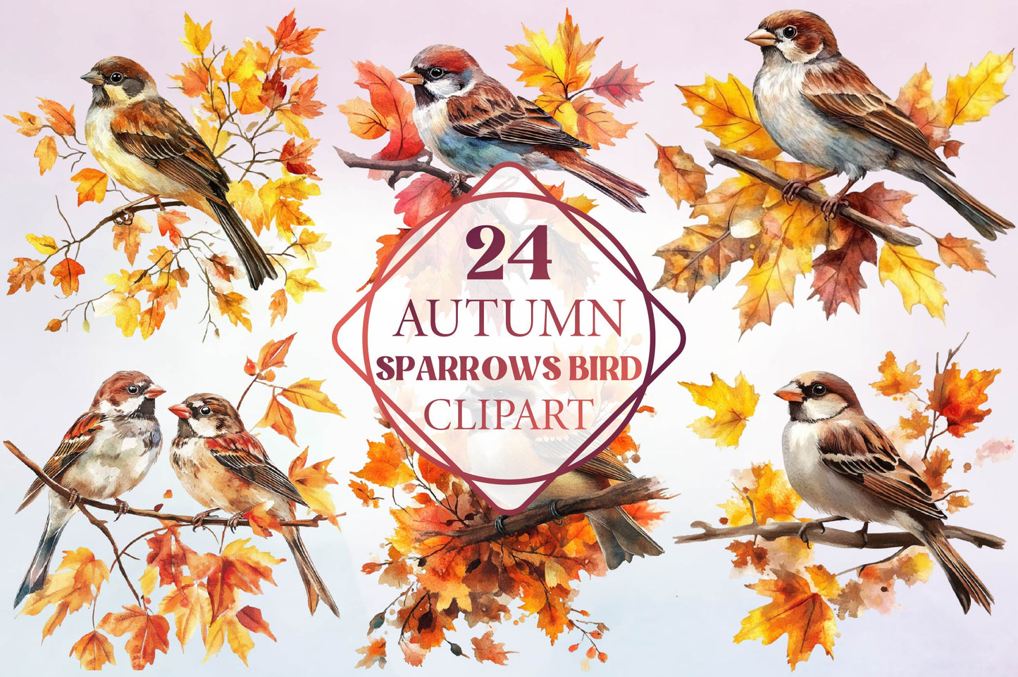 Autumn Sparrows Bird Clipart Bundle 24 Fall Sparrow Designs