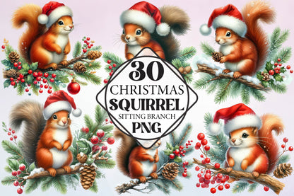 Christmas Squirrel Watercolor Clipart PNG Bundle