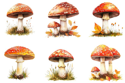 Autumn Mushroom Clipart Bundle 22 Fall Mushroom Designs