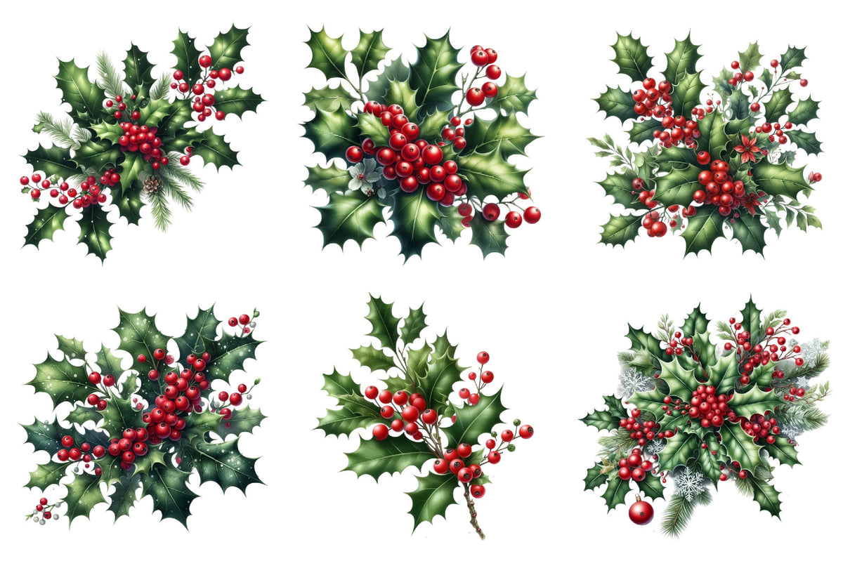 Christmas Holly Watercolor Clipart PNG Bundle