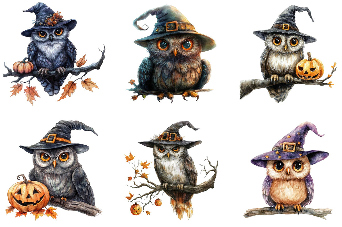 26 Halloween Witch Owl Clipart PNG Bundle