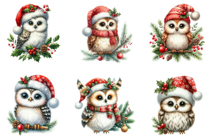 33 Christmas Owl Clipart Bundle