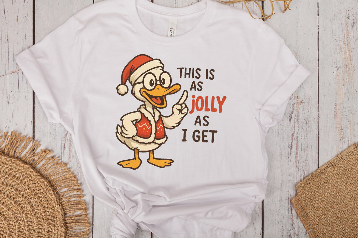Funny Christmas Duck PNG