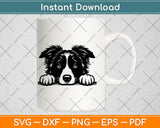 Peeking Border Collie Dog Svg Png Dxf Digital Cutting File