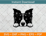 Peeking Border Collie Dog Svg Craft Digital Cutting File